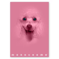 Pigna Monocromo Pink A4 38 lap, tűzött, vonalas füzet