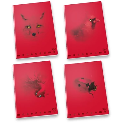 Pigna Monocromo Red A4 tűzött 38 lapos kockás füzet Pigna Monocromo Red A4 tűzött 38 lapos kockás füzet