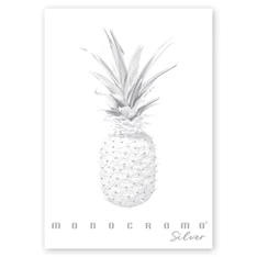 Pigna Monocromo Silver A4 38 lap, tűzött, vonalas füzet