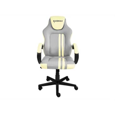 RAIDMAX Drakon DK290 elefántcsont-szürke gamer szék RAIDMAX Drakon DK290 elefántcsont-szürke gamer szék