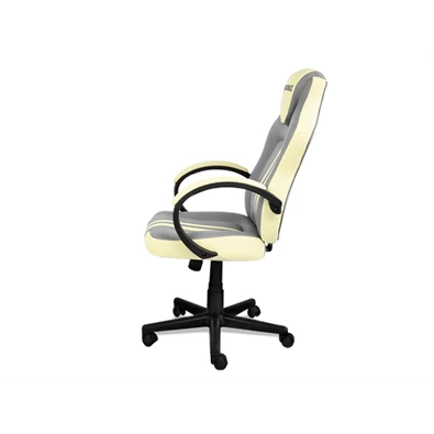 RAIDMAX Drakon DK290 elefántcsont-szürke gamer szék RAIDMAX Drakon DK290 elefántcsont-szürke gamer szék