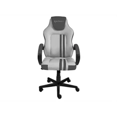 RAIDMAX Drakon DK290 szürke gamer szék RAIDMAX Drakon DK290 szürke gamer szék
