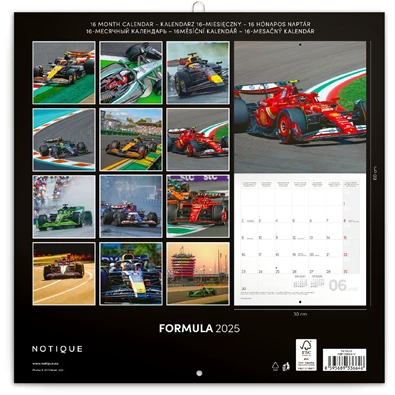 Realsystem 2025 Formula 6097 falinaptár Realsystem 2025 Formula 6097 falinaptár