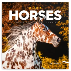 Realsystem 2026 Horses 6097-HO falinaptár