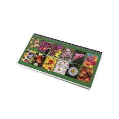 Realsystem 2026 Virágok 7981-04 képes kék fekvő asztali naptár