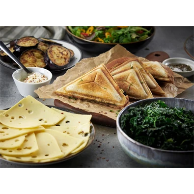 Russell Hobbs 24530-56 Cook@Home inox-fekete szendvicssütő