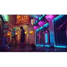 Stray PS4 játékszoftver Stray PS4 játékszoftver