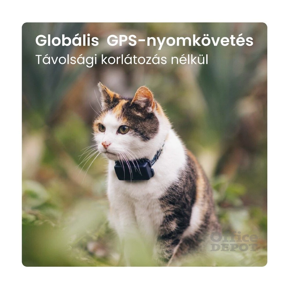 Tractive GPS CAT Mini kék macska GPS nyomkövető és tevékenységfigyelő