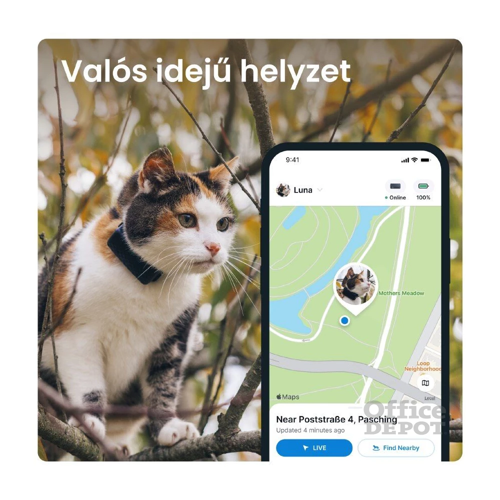 Tractive GPS CAT Mini kék macska GPS nyomkövető és tevékenységfigyelő