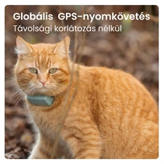 Tractive GPS CAT Mini menta macska GPS nyomkövető és tevékenységfigyelő Tractive GPS CAT Mini menta macska GPS nyomkövető és tevékenységfigyelő