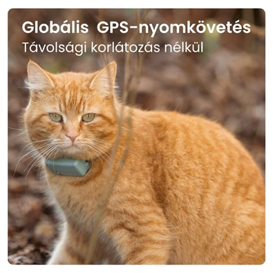 Tractive GPS CAT Mini menta macska GPS nyomkövető és tevékenységfigyelő Tractive GPS CAT Mini menta macska GPS nyomkövető és tevékenységfigyelő