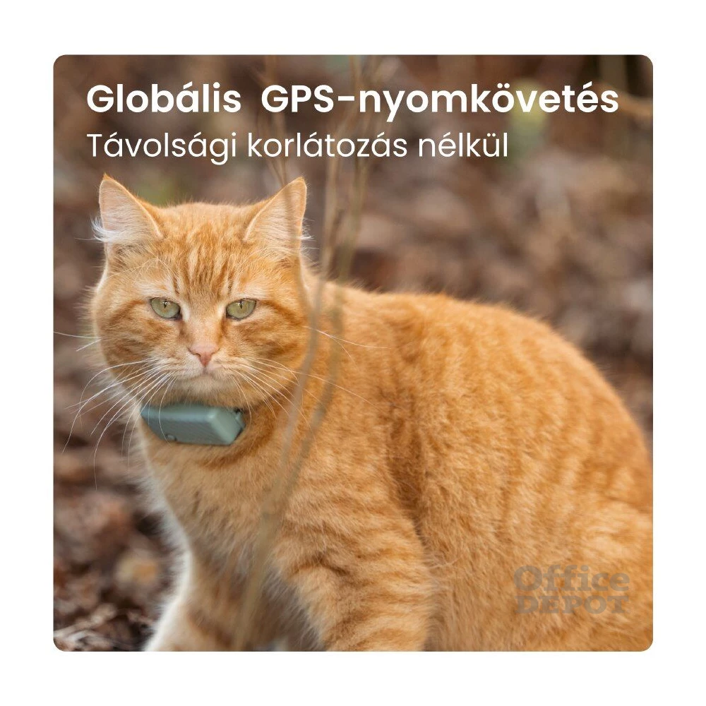 Tractive GPS CAT Mini menta macska GPS nyomkövető és tevékenységfigyelő