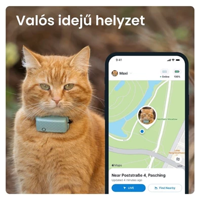 Tractive GPS CAT Mini menta macska GPS nyomkövető és tevékenységfigyelő Tractive GPS CAT Mini menta macska GPS nyomkövető és tevékenységfigyelő