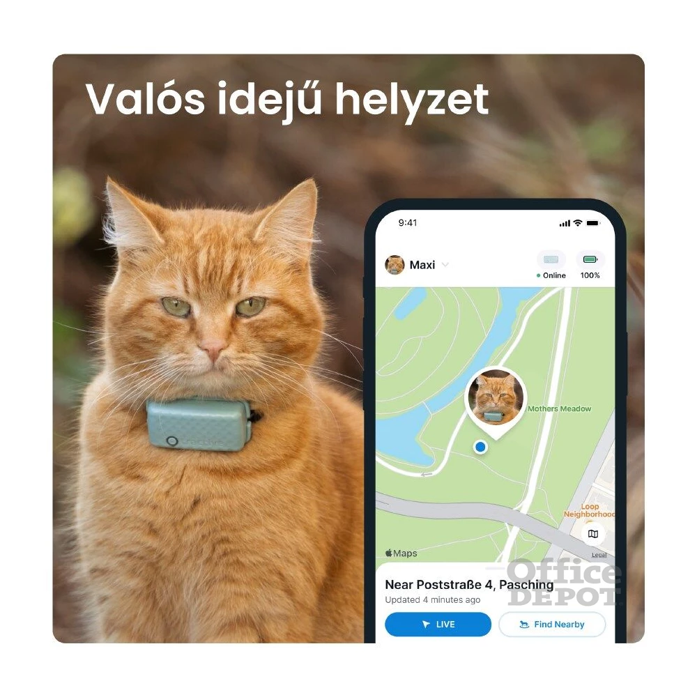 Tractive GPS CAT Mini menta macska GPS nyomkövető és tevékenységfigyelő