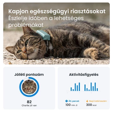 Tractive GPS CAT Mini menta macska GPS nyomkövető és tevékenységfigyelő Tractive GPS CAT Mini menta macska GPS nyomkövető és tevékenységfigyelő