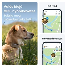 Tractive GPS DOG 6 barna kutya GPS nyomkövető és tevékenységfigyelő Tractive GPS DOG 6 barna kutya GPS nyomkövető és tevékenységfigyelő