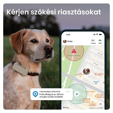Tractive GPS DOG 6 barna kutya GPS nyomkövető és tevékenységfigyelő Tractive GPS DOG 6 barna kutya GPS nyomkövető és tevékenységfigyelő