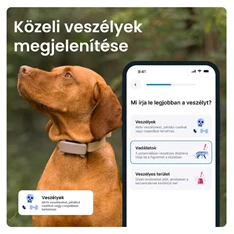 Tractive GPS DOG 6 barna kutya GPS nyomkövető és tevékenységfigyelő Tractive GPS DOG 6 barna kutya GPS nyomkövető és tevékenységfigyelő