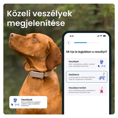 Tractive GPS DOG 6 barna kutya GPS nyomkövető és tevékenységfigyelő Tractive GPS DOG 6 barna kutya GPS nyomkövető és tevékenységfigyelő
