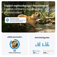Tractive GPS DOG 6 barna kutya GPS nyomkövető és tevékenységfigyelő Tractive GPS DOG 6 barna kutya GPS nyomkövető és tevékenységfigyelő
