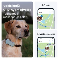 Tractive GPS DOG 6 menta kutya GPS nyomkövető és tevékenységfigyelő Tractive GPS DOG 6 menta kutya GPS nyomkövető és tevékenységfigyelő
