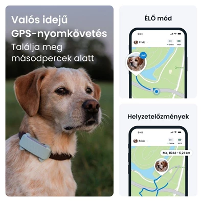 Tractive GPS DOG 6 menta kutya GPS nyomkövető és tevékenységfigyelő Tractive GPS DOG 6 menta kutya GPS nyomkövető és tevékenységfigyelő