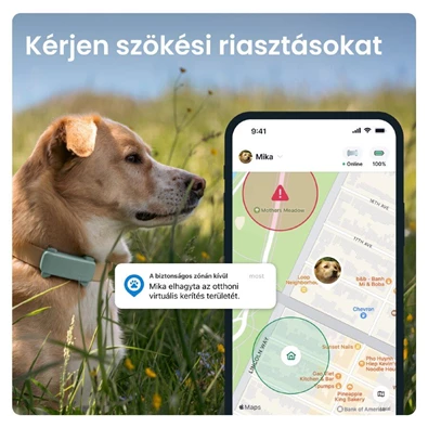Tractive GPS DOG 6 menta kutya GPS nyomkövető és tevékenységfigyelő Tractive GPS DOG 6 menta kutya GPS nyomkövető és tevékenységfigyelő