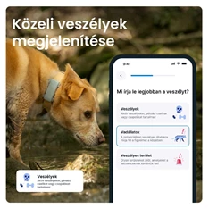 Tractive GPS DOG 6 menta kutya GPS nyomkövető és tevékenységfigyelő Tractive GPS DOG 6 menta kutya GPS nyomkövető és tevékenységfigyelő
