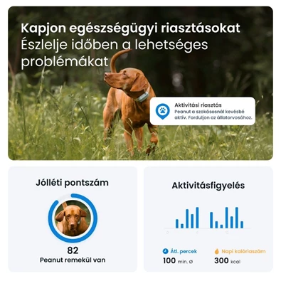 Tractive GPS DOG 6 menta kutya GPS nyomkövető és tevékenységfigyelő Tractive GPS DOG 6 menta kutya GPS nyomkövető és tevékenységfigyelő