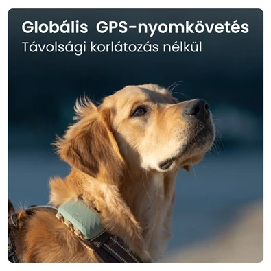 Tractive GPS DOG XL zöld kutya GPS nyomkövető és tevékenységfigyelő Tractive GPS DOG XL zöld kutya GPS nyomkövető és tevékenységfigyelő