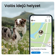 Tractive GPS DOG XL zöld kutya GPS nyomkövető és tevékenységfigyelő Tractive GPS DOG XL zöld kutya GPS nyomkövető és tevékenységfigyelő