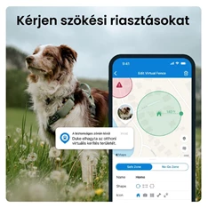 Tractive GPS DOG XL zöld kutya GPS nyomkövető és tevékenységfigyelő Tractive GPS DOG XL zöld kutya GPS nyomkövető és tevékenységfigyelő