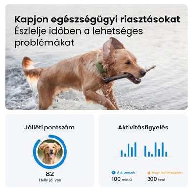 Tractive GPS DOG XL zöld kutya GPS nyomkövető és tevékenységfigyelő Tractive GPS DOG XL zöld kutya GPS nyomkövető és tevékenységfigyelő