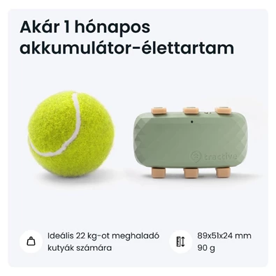 Tractive GPS DOG XL zöld kutya GPS nyomkövető és tevékenységfigyelő Tractive GPS DOG XL zöld kutya GPS nyomkövető és tevékenységfigyelő