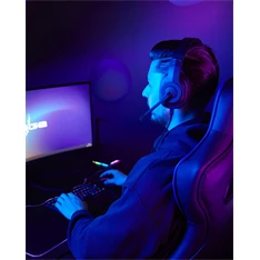 URAGE by Hama 217858 "URAGE SOUNDZ 200 V2" PC/PS fekete gamer headset