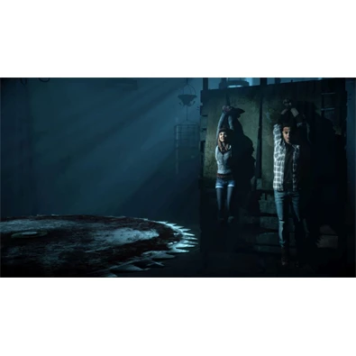 Until Dawn PS4 játékszoftver Until Dawn PS4 játékszoftver