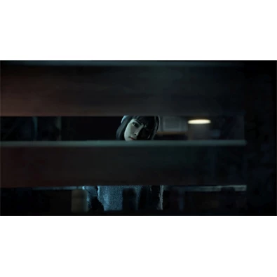 Until Dawn PS4 játékszoftver Until Dawn PS4 játékszoftver