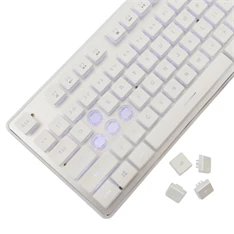 White Shark GK-003241W-US Tachi US fehér gamer billentyűzet White Shark GK-003241W-US Tachi US fehér gamer billentyűzet