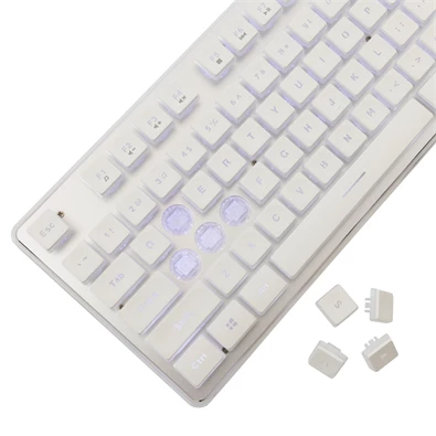 White Shark GK-003241W-US Tachi US fehér gamer billentyűzet White Shark GK-003241W-US Tachi US fehér gamer billentyűzet