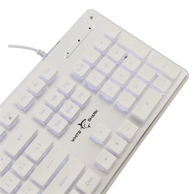 White Shark GK-003241W-US Tachi US fehér gamer billentyűzet White Shark GK-003241W-US Tachi US fehér gamer billentyűzet